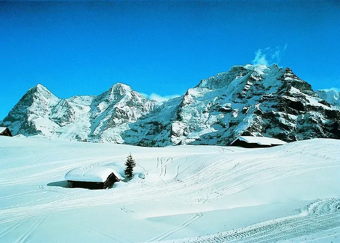 快乐驿站旅馆 旅馆 *